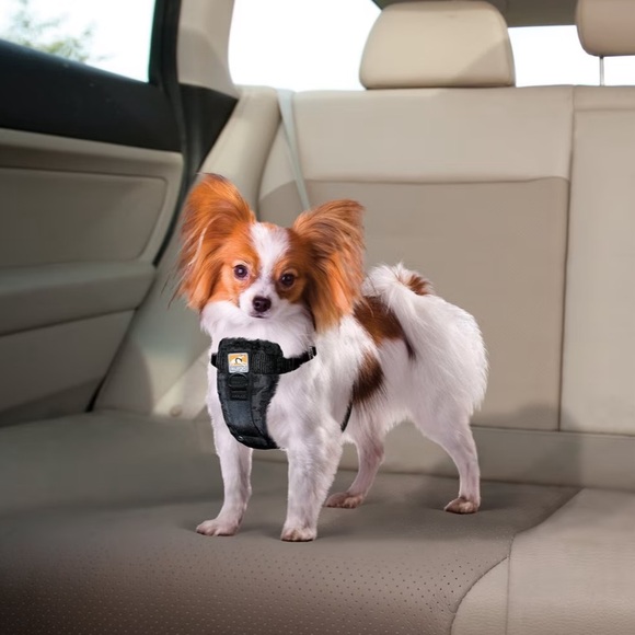 Kurgo Extra-Small Dog Harness - Picture 5 of 8